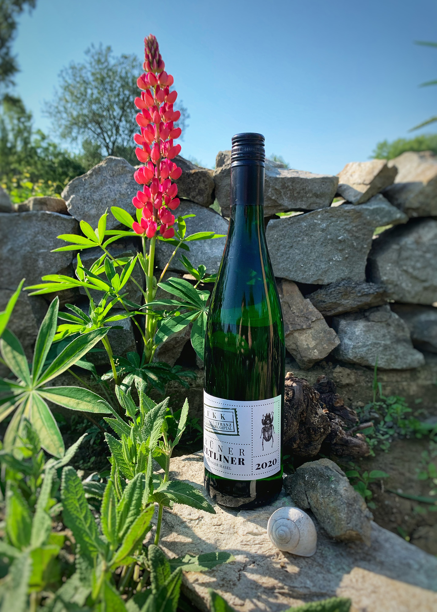 Foto Flasche FKK Grüner Veltliner Hasel 2020