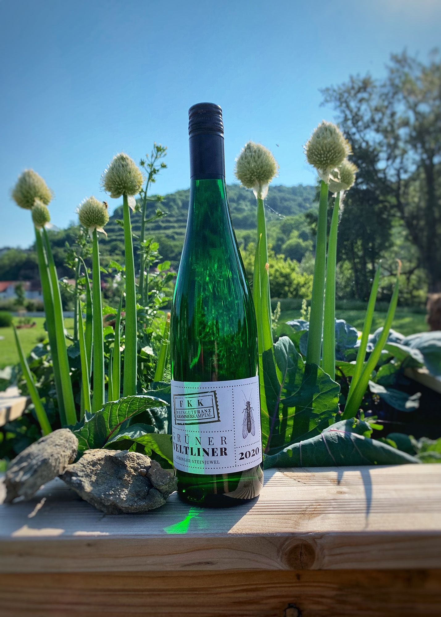 Foto Flasche FKK Grüner Veltliner Steinjuwel 2020