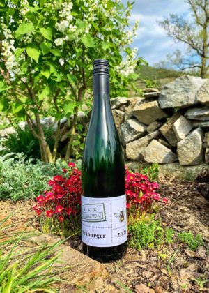 Grüne Weißweinflasche mit Hummel am Etikett mit der Aufschrift Neuburger 2021