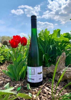 Riesling Kamptal DAC 2021